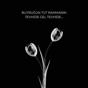 Buyruğun Tut Rahmanın