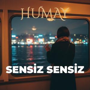 Sensiz Sensiz