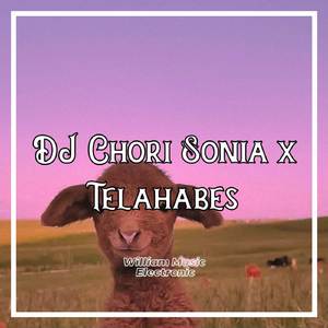 DJ CHORI SONIA XTELAHABES (REMIX)