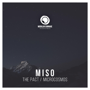 Microcosmos