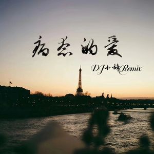 病态的爱（DJ小辞Remix）