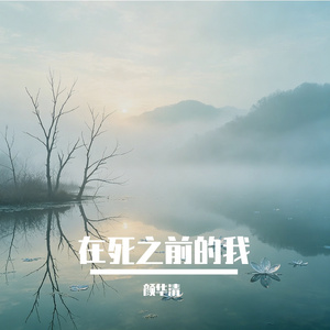 在死之前的我