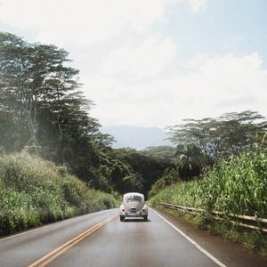 drivers license (Acoustic)