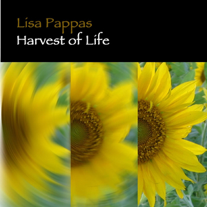 Moving Out of Neutral