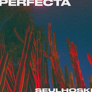 Perfecta
