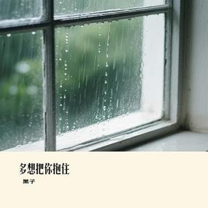 多想把你抱住 (Cover 雷婷)