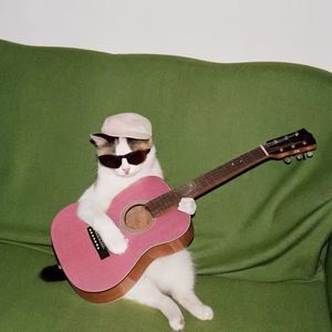 小宇(总有些惊奇的际遇)