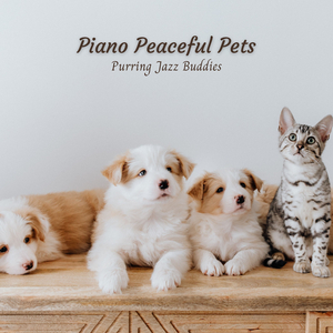 Paws of Peace