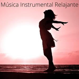 Тайвшруулах хөгжмийн зэмсэг