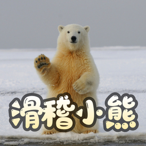 滑稽的小熊