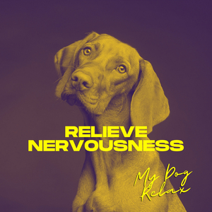 Music for Relaxing Doggies