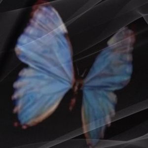 仌(Prod.HamrahBeats)