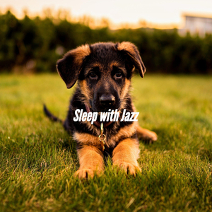 Uplifting Loafing Pup Hour