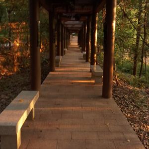 和你吹着风，看着空（prod by Lisure）