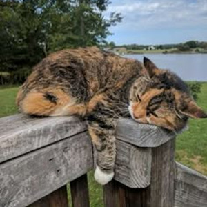 flex fm , Lil Yachty, Playboi Carti (sped up)