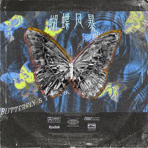蝴蝶风暴