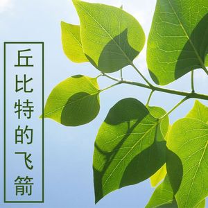 丘比特的飞箭 伴奏