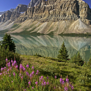 也许你从来不愿告诉我