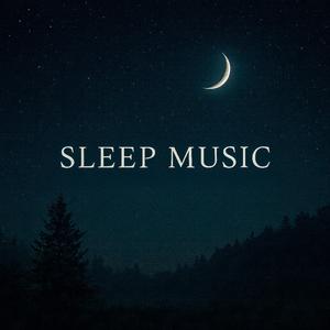 수면음악: 새벽 숲에 번지는 고요한 선율 (캐논) (Relaxing Forest Dawn)