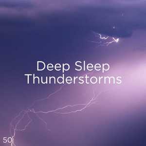 호우 잠