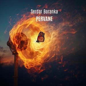 Pervane
