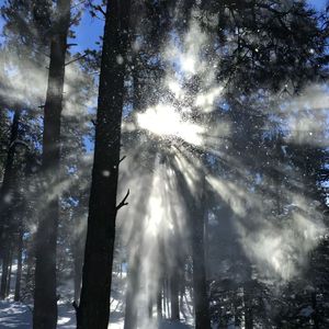 民谣来蓝调摇滚的纯音乐 (28)