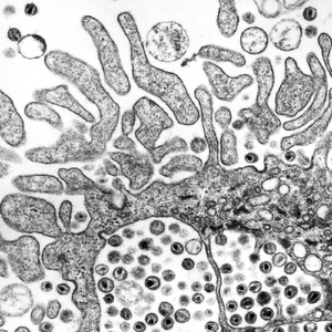 session #10 - untitled #39 16.03.2020