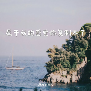 属于我的感觉你复制不了