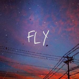 Fly