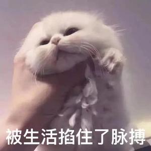 多情种
