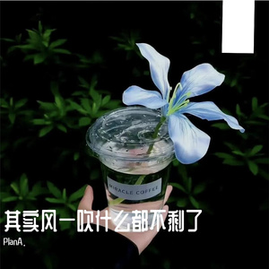 其实风一吹什么都不剩了