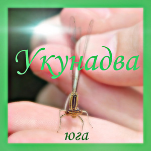 Исповедь эстета