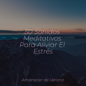 Ascenso Neblinoso