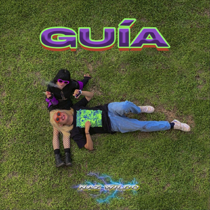 Guía
