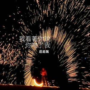 我看著你說你吻了我