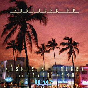 Fortasec (Shelby Grey Remix)