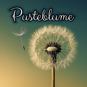 Pusteblume