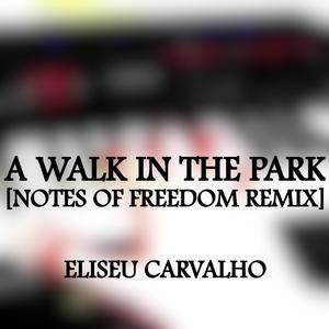 A Walk in the Park (The Freedom Notes Remix)
