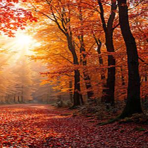 Rég várt találkozás