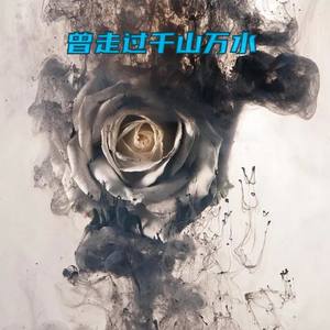 曾走过千山万水