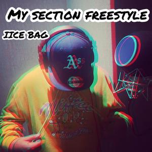 My Section Freestyle