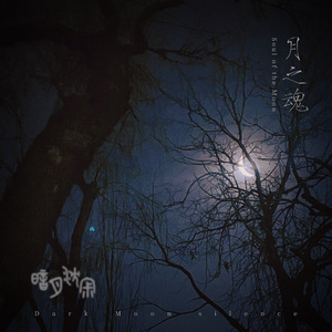 月之魂