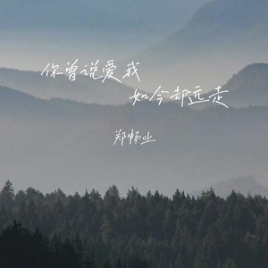 你曾说爱我如今却远走