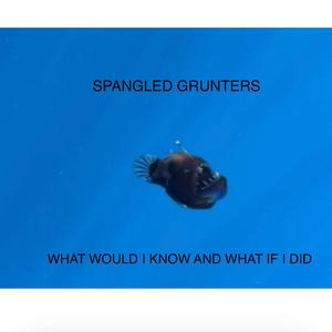 Shrug our shoulders shake our head