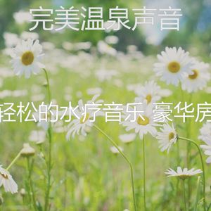 优美水疗护理器乐
