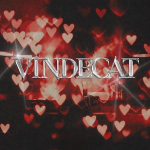 VINDECAT