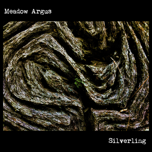 Dust in the Circuits