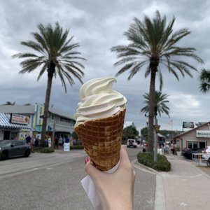 Green Day In Tampa（坦帕的绿意时光）