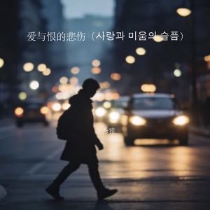 爱与恨的悲伤（사랑과 미움의 슬픔）