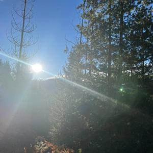 cxgrxttx! (feat. Coxain)